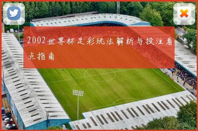 2002世界杯足彩玩法解析与投注看点指南