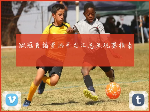 欧冠直播资讯平台汇总及观赛指南