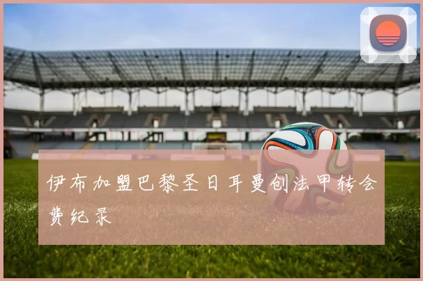 伊布加盟巴黎圣日耳曼创法甲转会费纪录