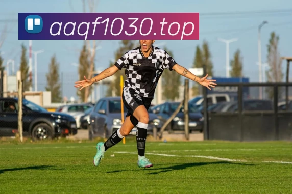 开云(Kaiyun) - 中国官方服务平台平台生态图