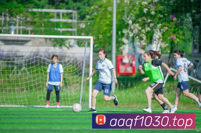 开云(Kaiyun) - 中国官方服务平台APP 封面图